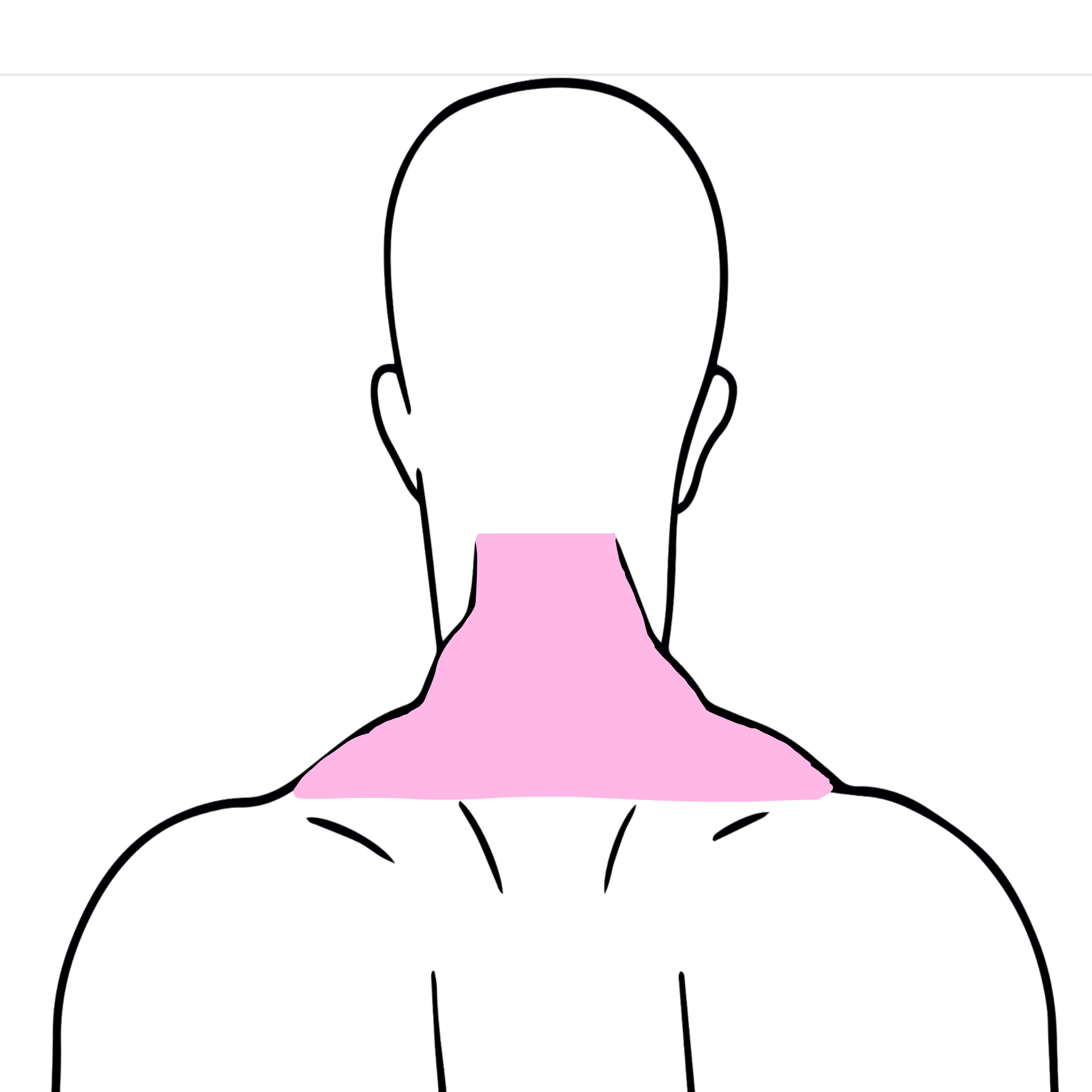 Back of the Neck