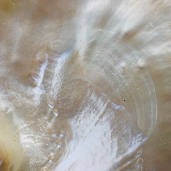 Blowdry & Iron Style Add On