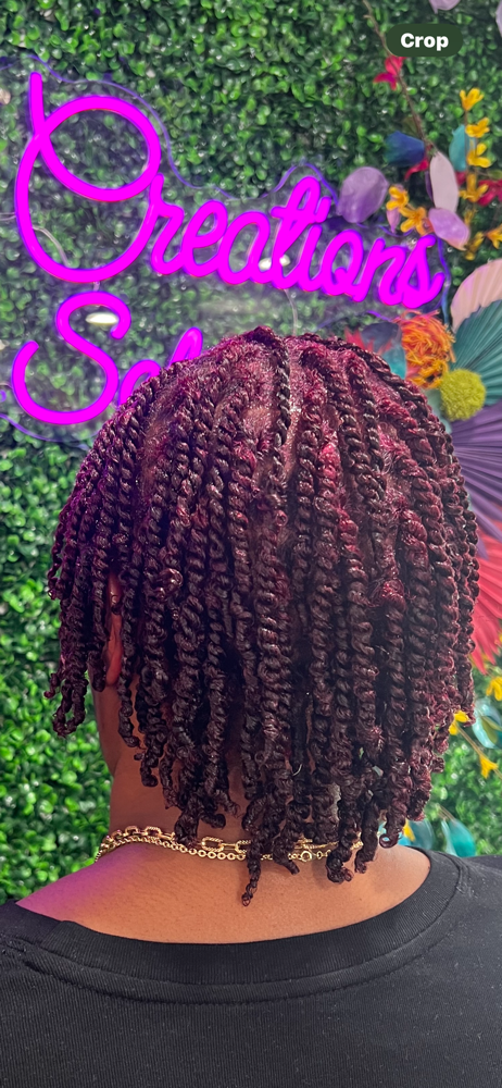 Two Strand Twist (Short/Med Hair)