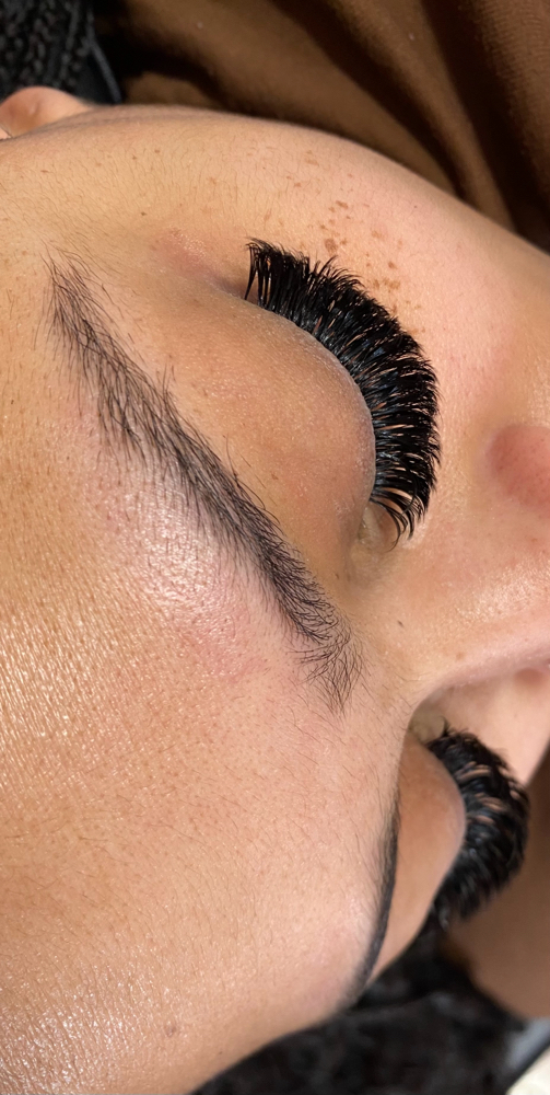 Volume Fill In at PrimaLash&Brow in McKeesport, PA