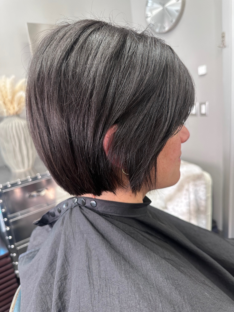 Root Touchup & Haircut