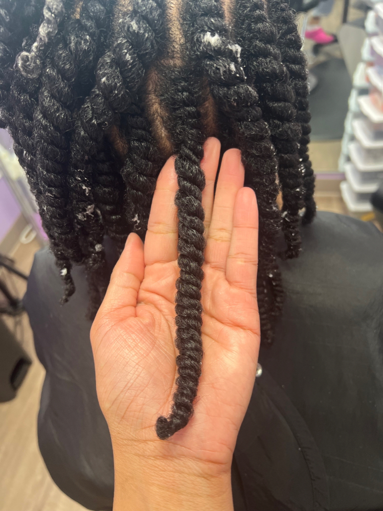 Two Strand Twist (No Blowdry)