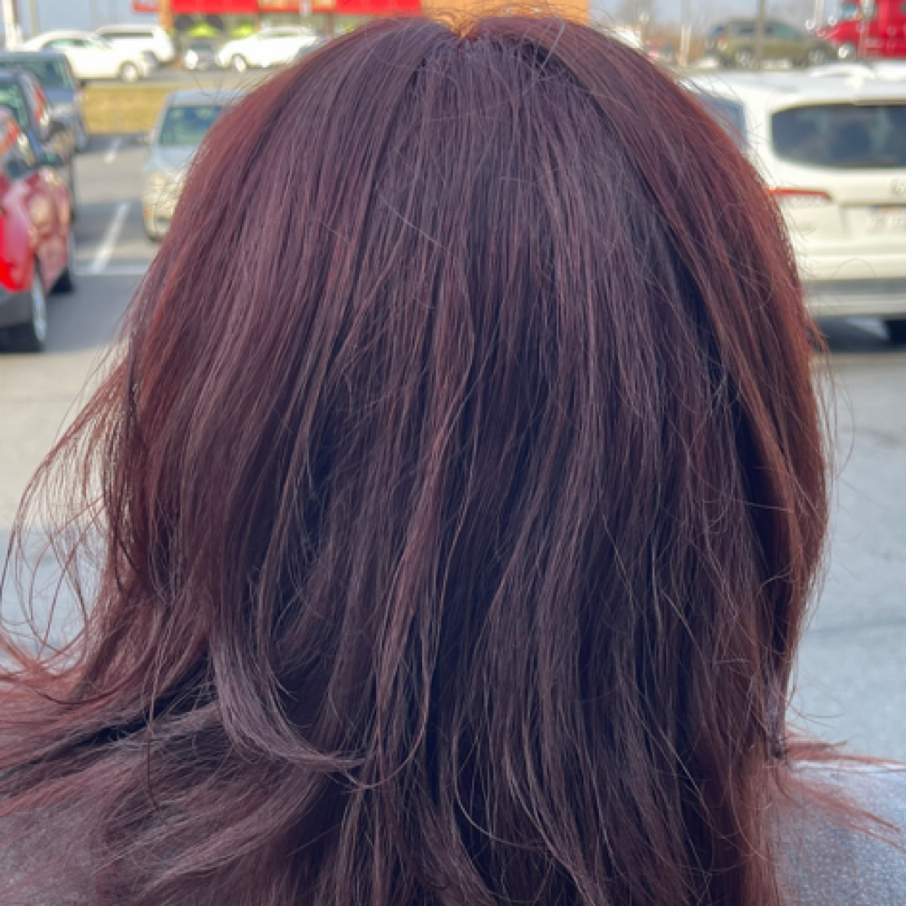 Root Touch Up at Hair by Cole in Hagerstown, MD