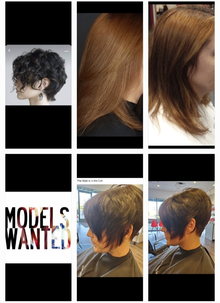 Womens Haircut