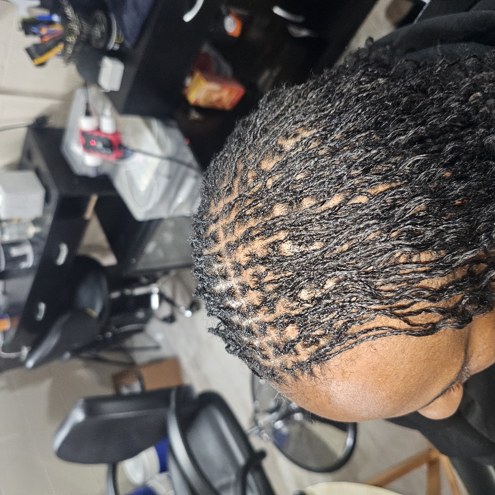 Starter Microlocs (Price Varies)