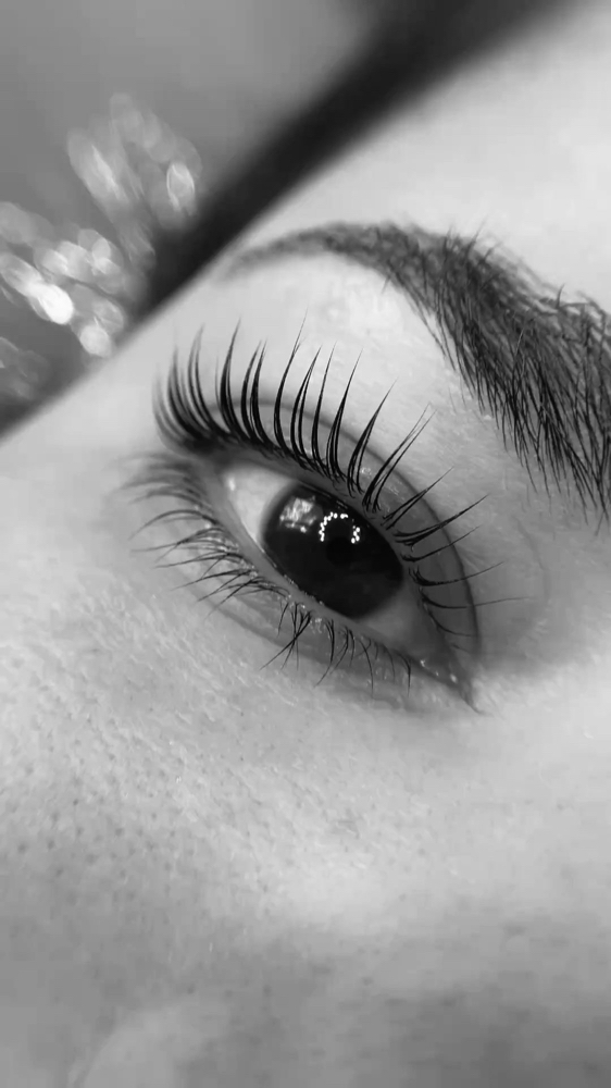 Lash Tint