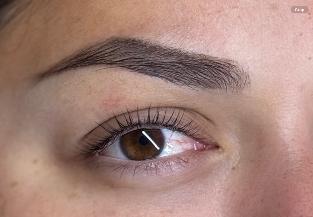 Lash Lift / Tint