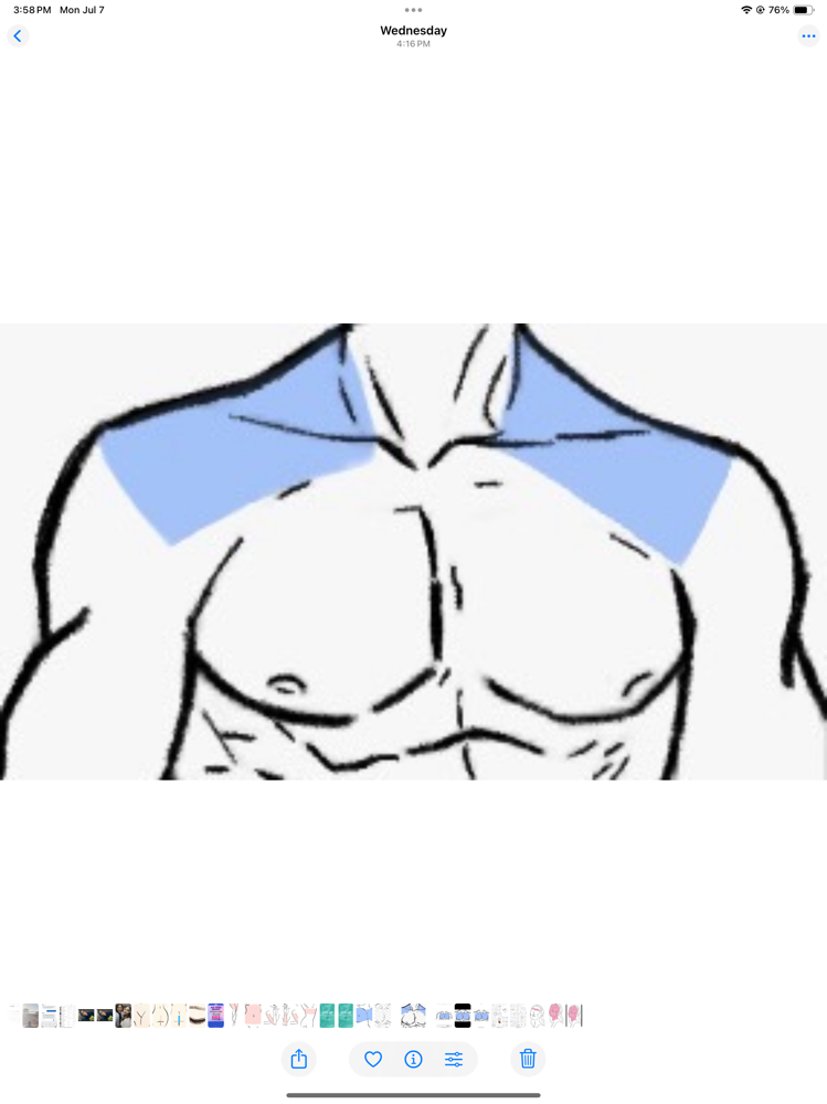 Shoulders