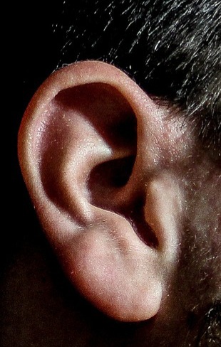 Ear Wax