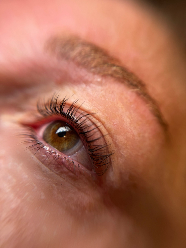 Lash Lift