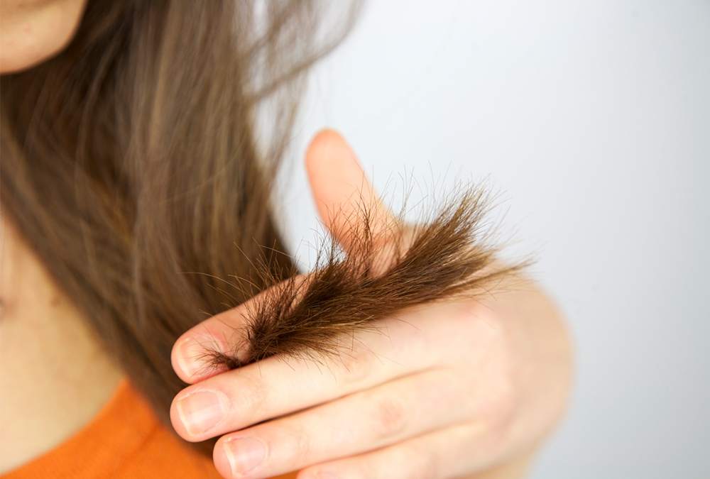 Split End Treatment