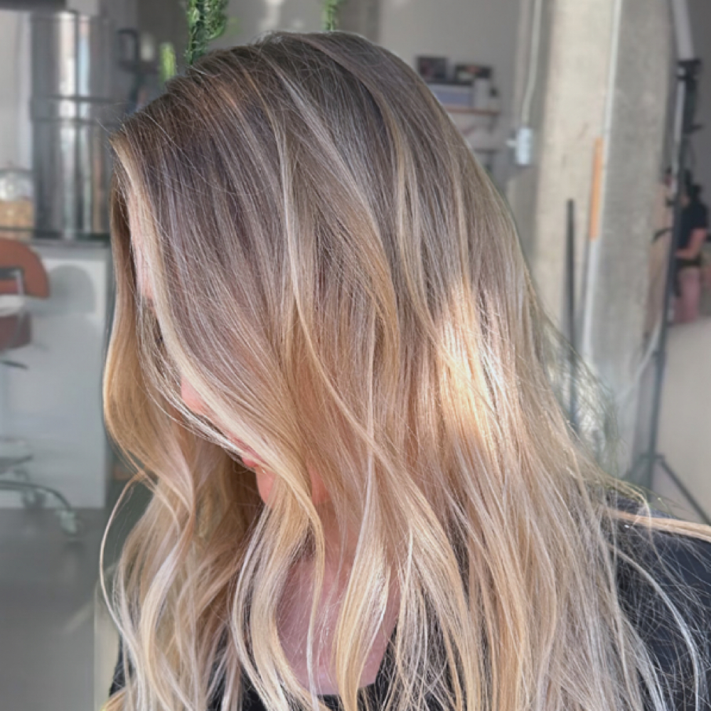 Partial Foilage Highlights at manes by mayra in Miami, FL