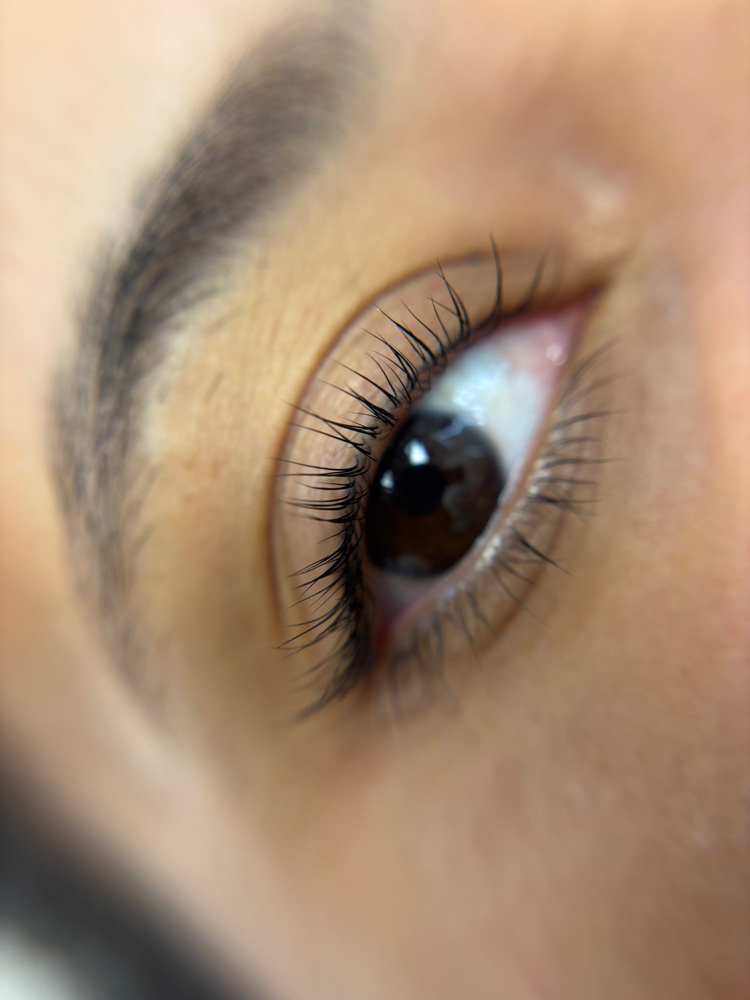 Lash Lift and Tint
