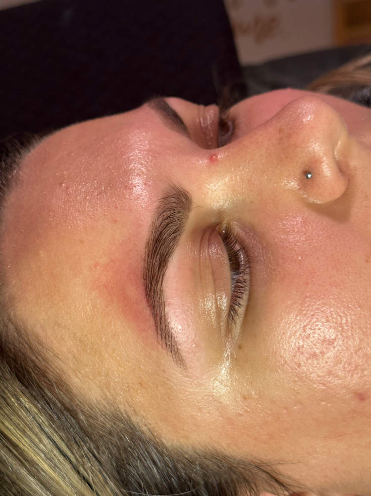 Brow Tint (includes Wax)