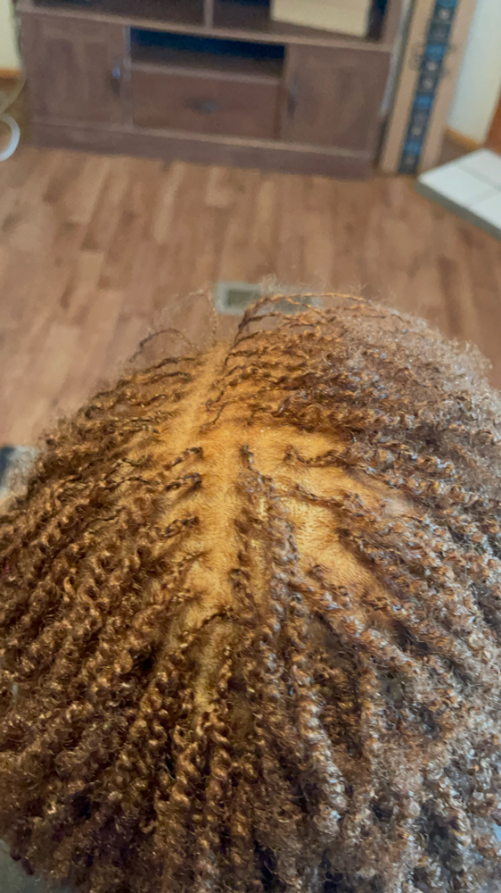 Microlocks/Twist