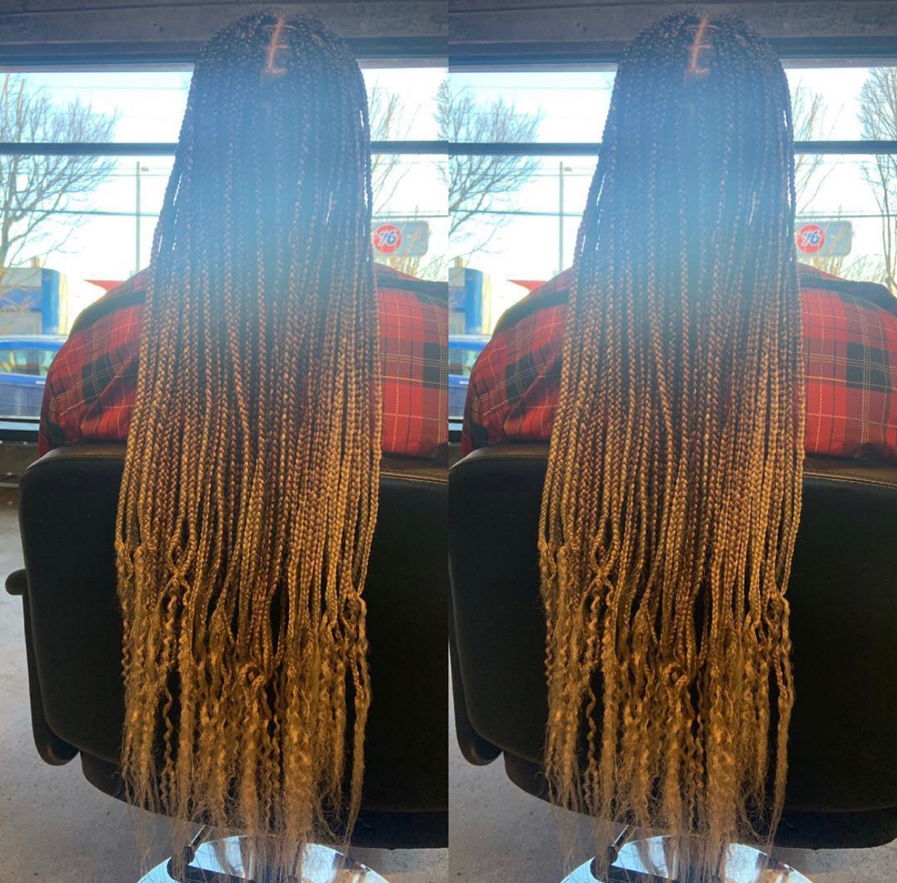 Small Box Braids (hair included)