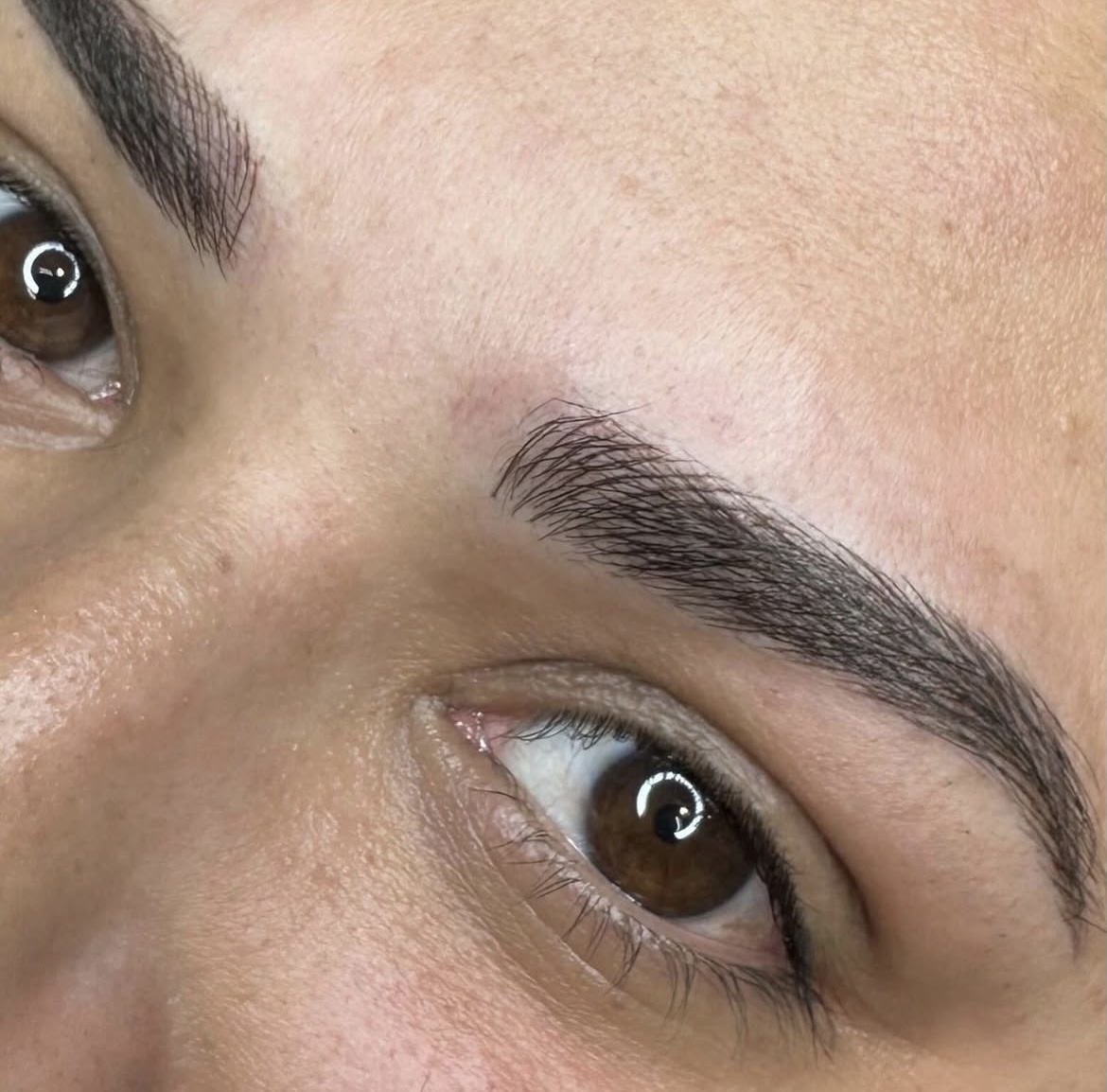 Eyebrow Color Boost (1 year)