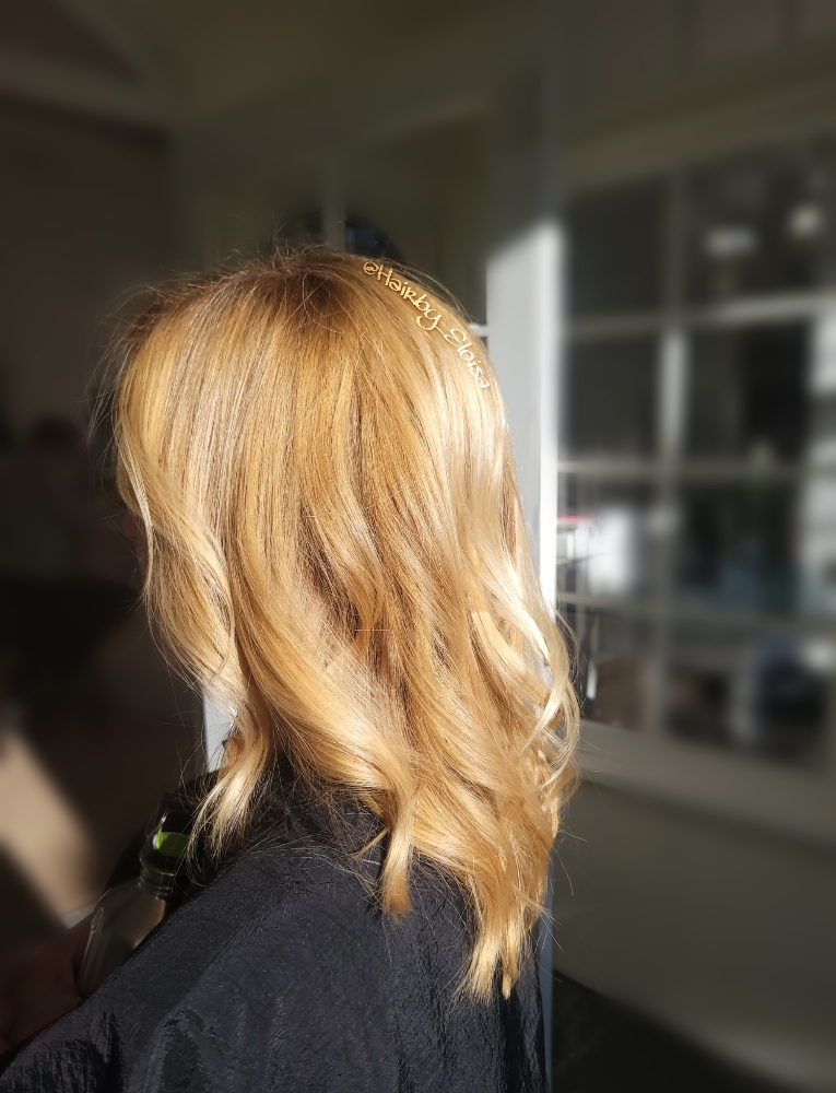 Color Touch Up & Blow Dry