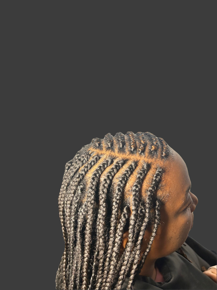 2 Or 3 Layered Braids