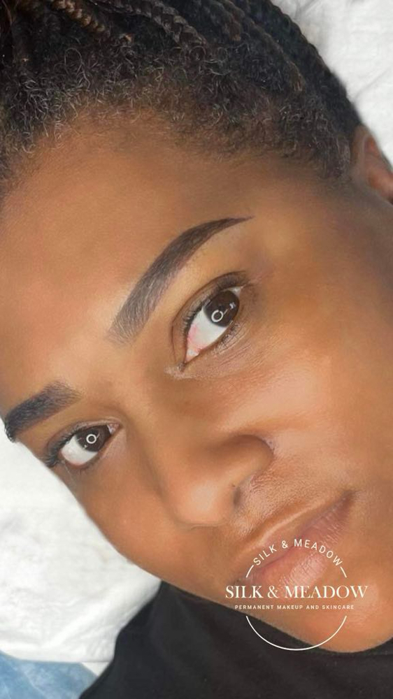 SALE - Powder Brows - Microshading