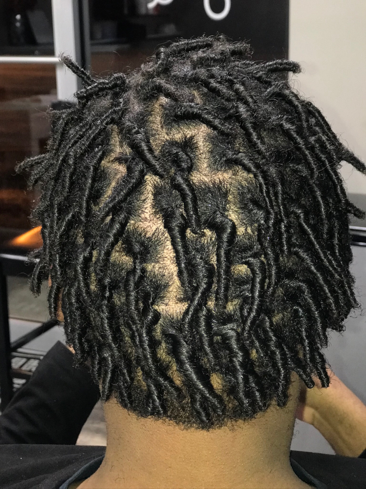 Starter Locs