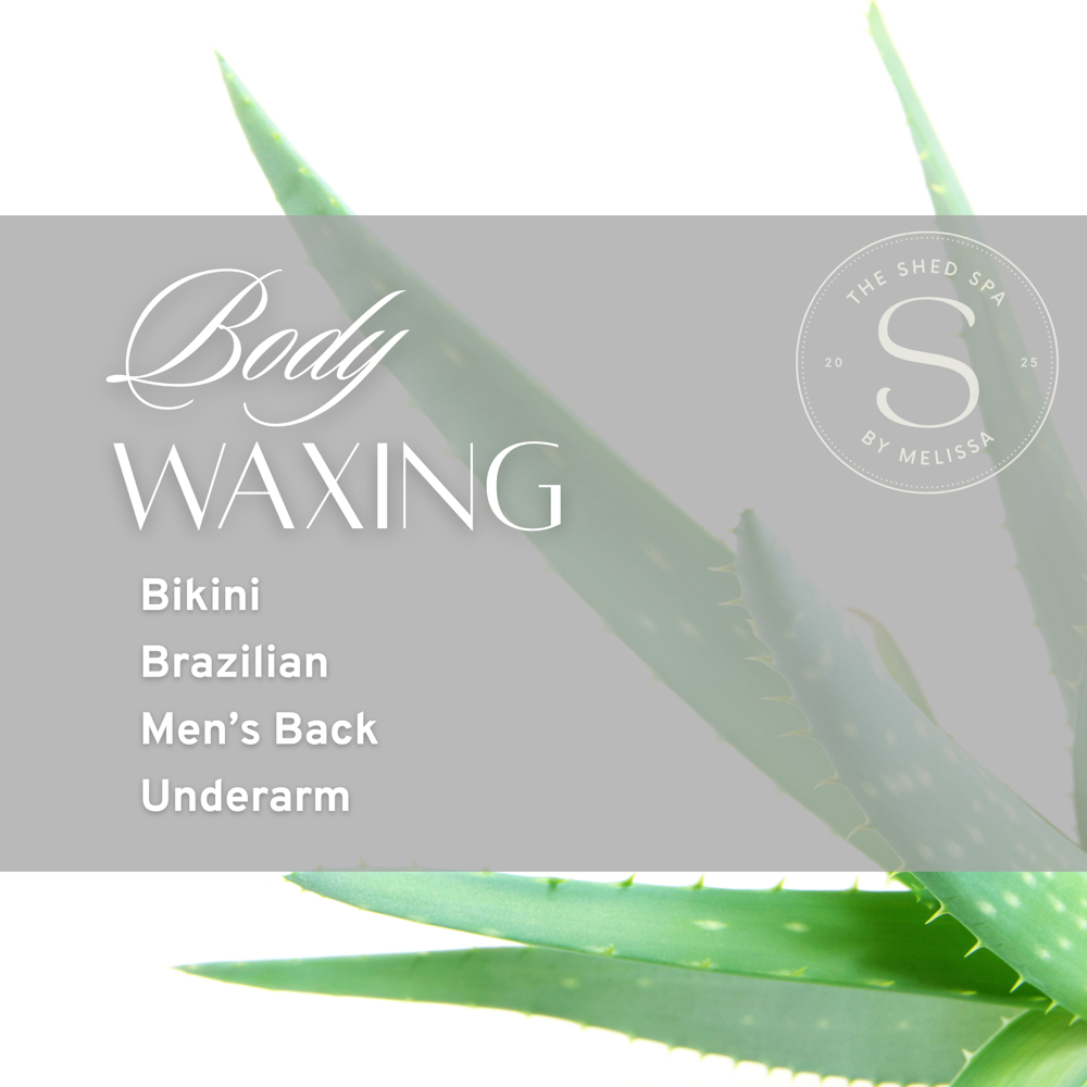 Body Waxing Services at The Shed Spa - Seymour Aesthetician in Seymour, TN