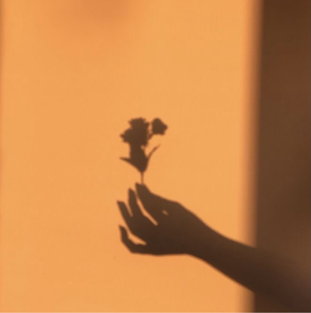 The Golden Hour Glow at Aglow Beauty Bar in Fort Worth, TX