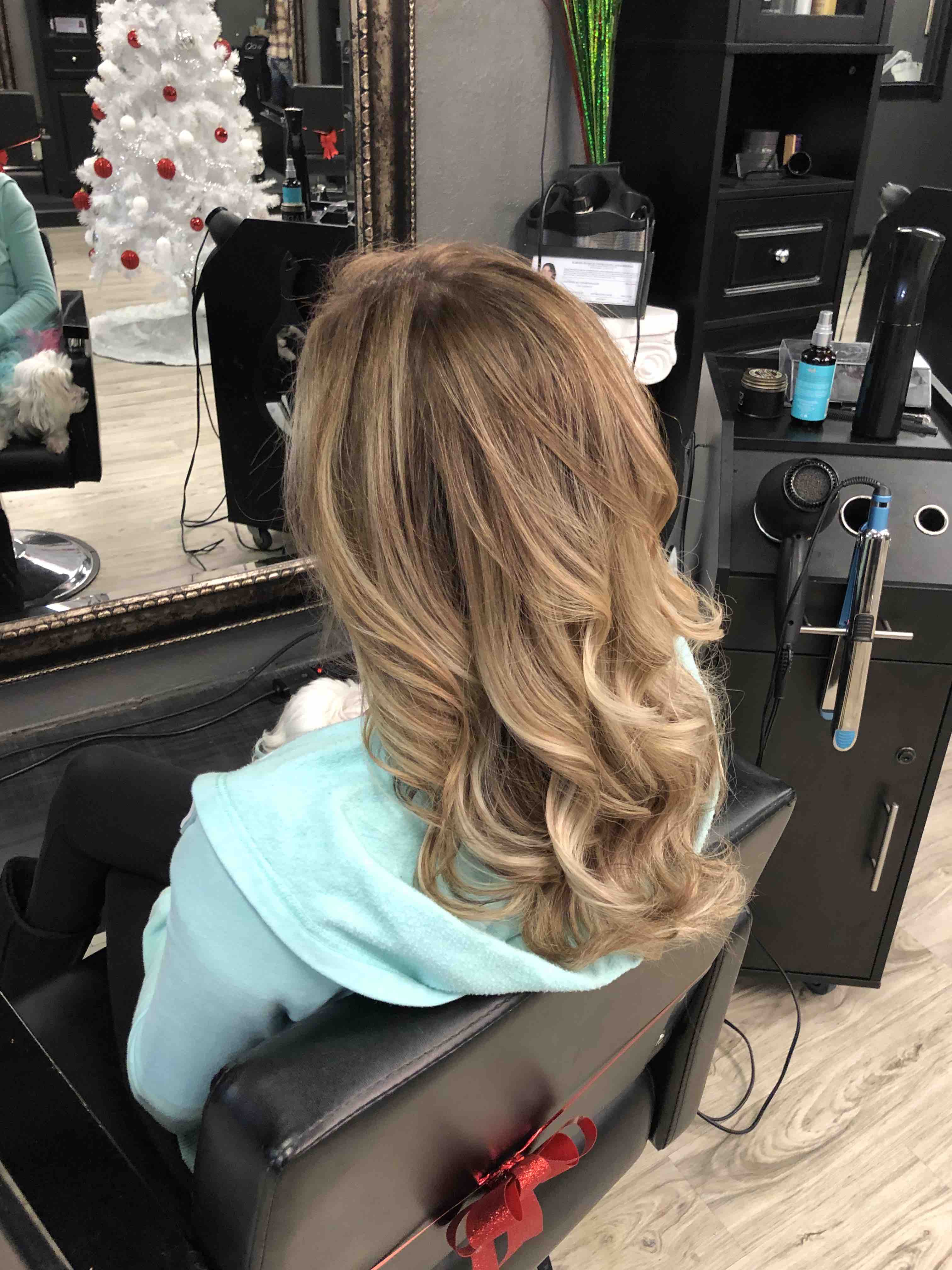 Balayage (hand Paint)