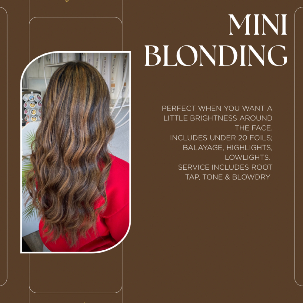 Mini Blonding at Hair By Aubsss in Lenexa, KS