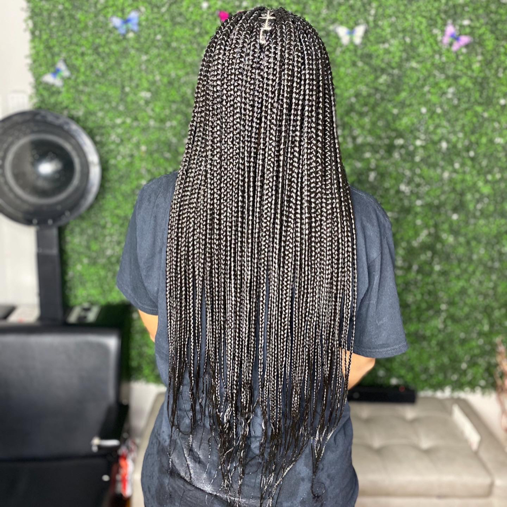 Small/med Knotless Waist Length