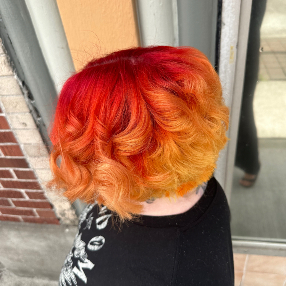 Fashion Color at LEXIS LOX in Longview, WA
