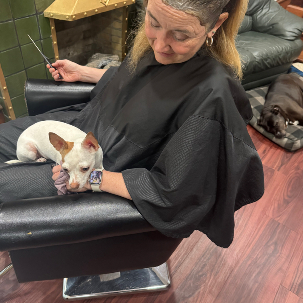 Permanent Color Retouch at Sabrina’s Parlour in Columbus, OH