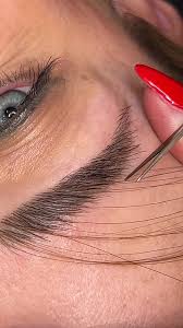 Eyebrow Extensions