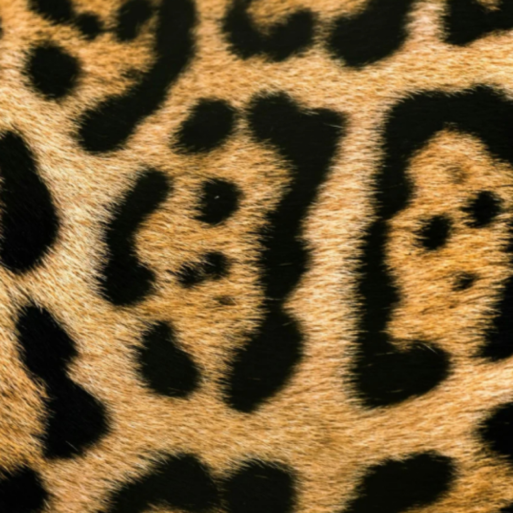 Mini Lash Fill at Mini Salon Co. in Bay city, MI