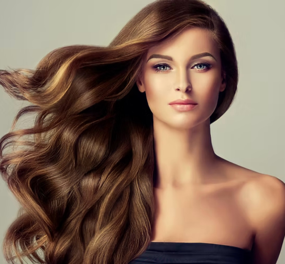 Haus Partial Custom Maintenance