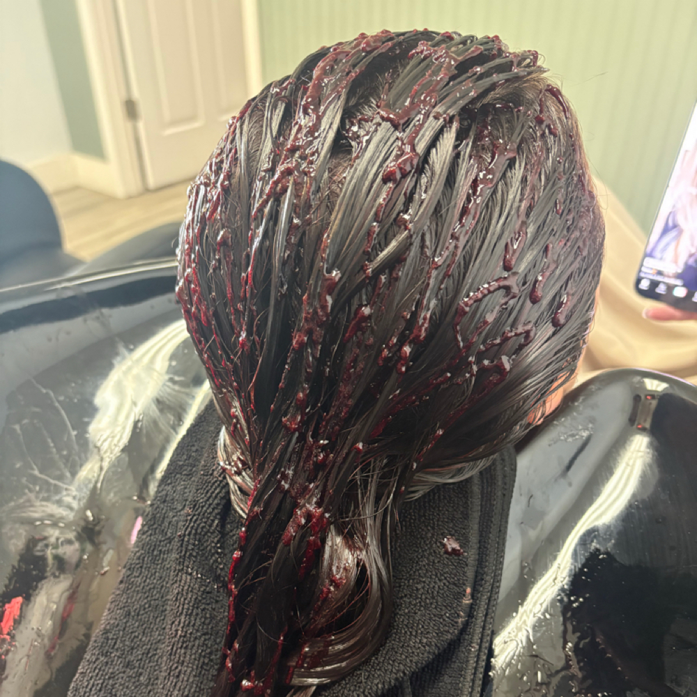 gloss & go at Mod Salon in Holts Summit, MO