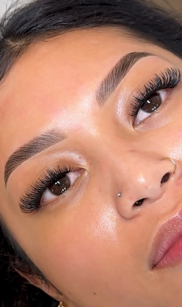 BLVD Brow Lamination