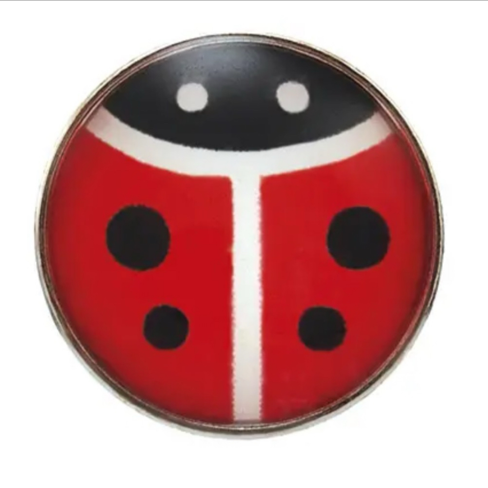 Lady Bug Stainless Steel Flat at Airbella in Columbus, OH