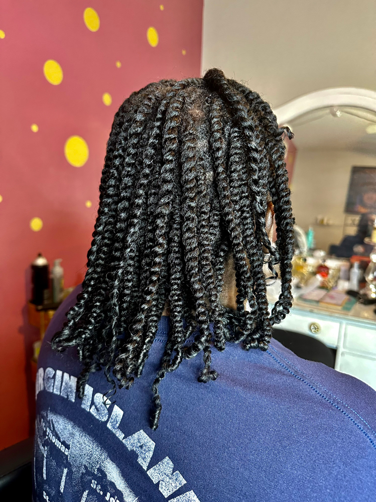 Two Strand Twist