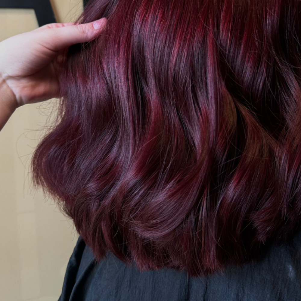 Haircut Add On at Kinsley Norris in Owensboro, KY