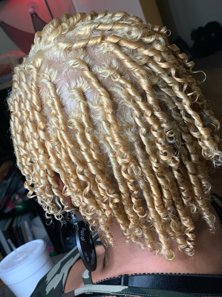 Starter Locs