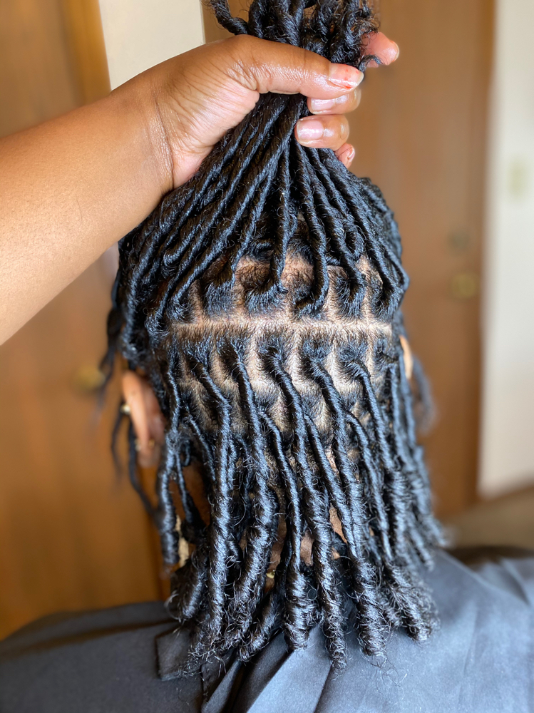 Starter Locs