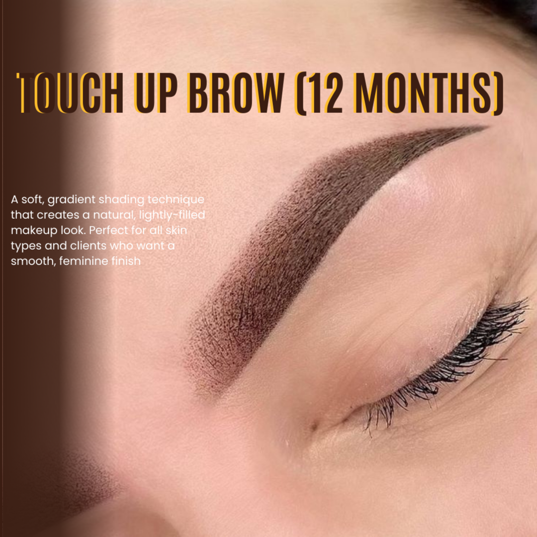 BROWS TOUCH-UP (AFTER 8-12 MONTHS) at Maria Brows & Lashes LLC in Chesapeake, VA