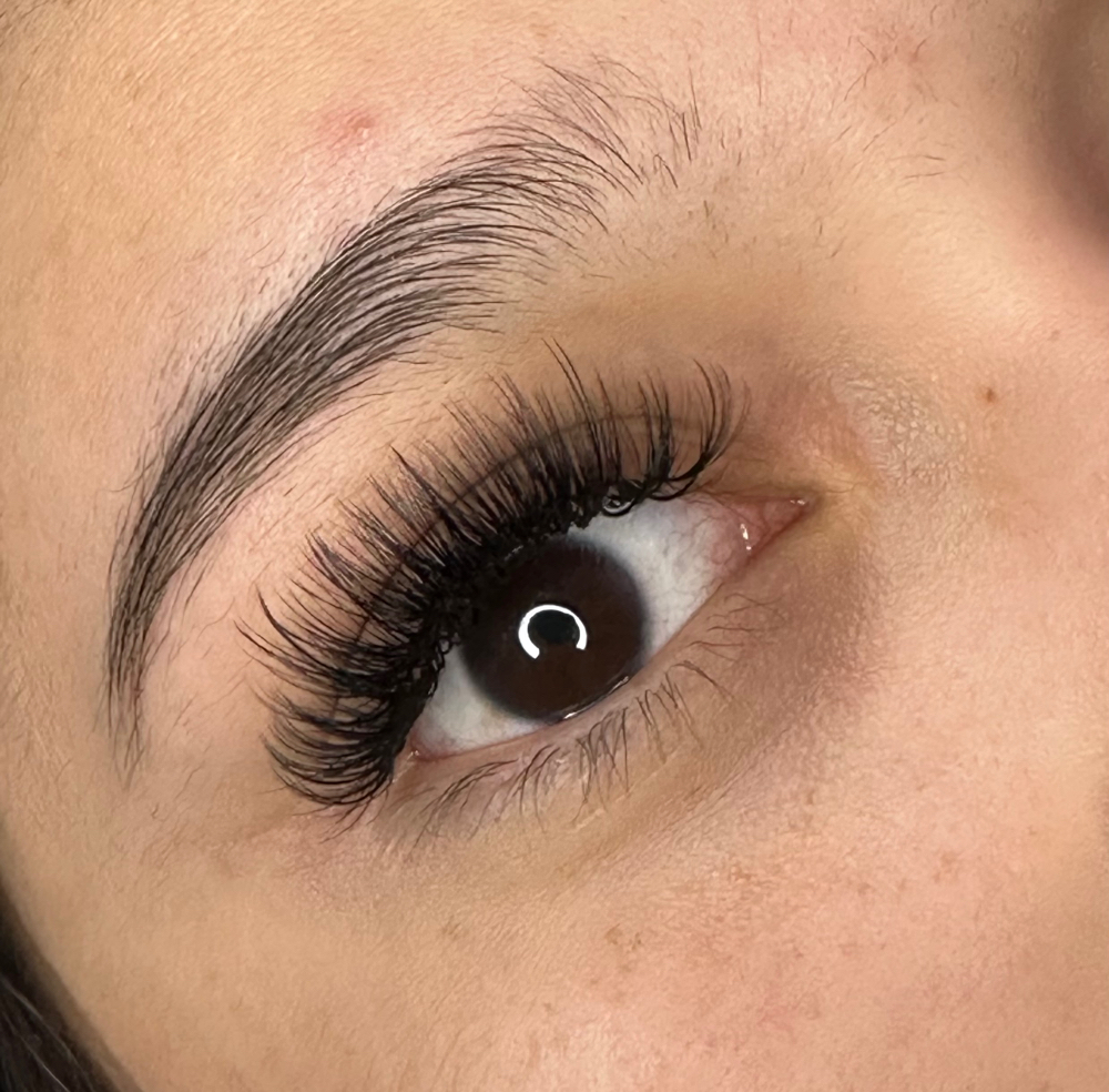 Volume 1 Week Mini Fill