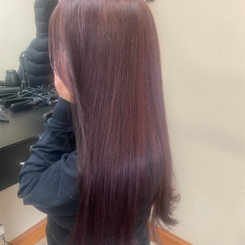 Single Process at Dream & Co. Beauty Salon in Reading, PA