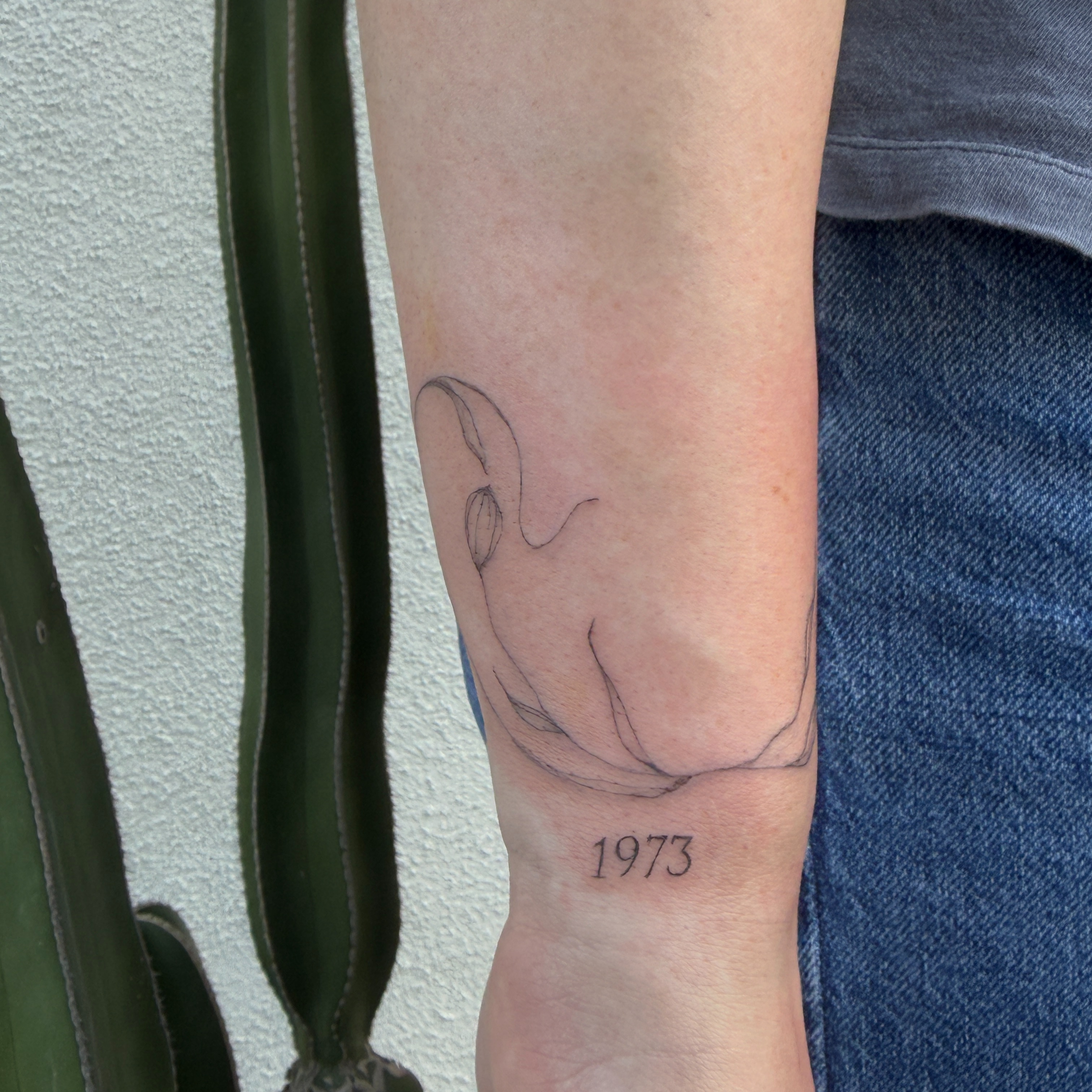 wrap at ashleigh l antrim in Phoenix, AZ
