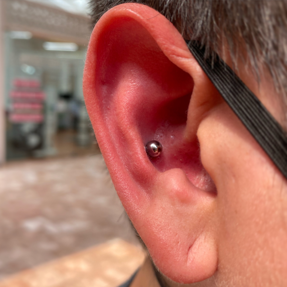 Conch Piercing