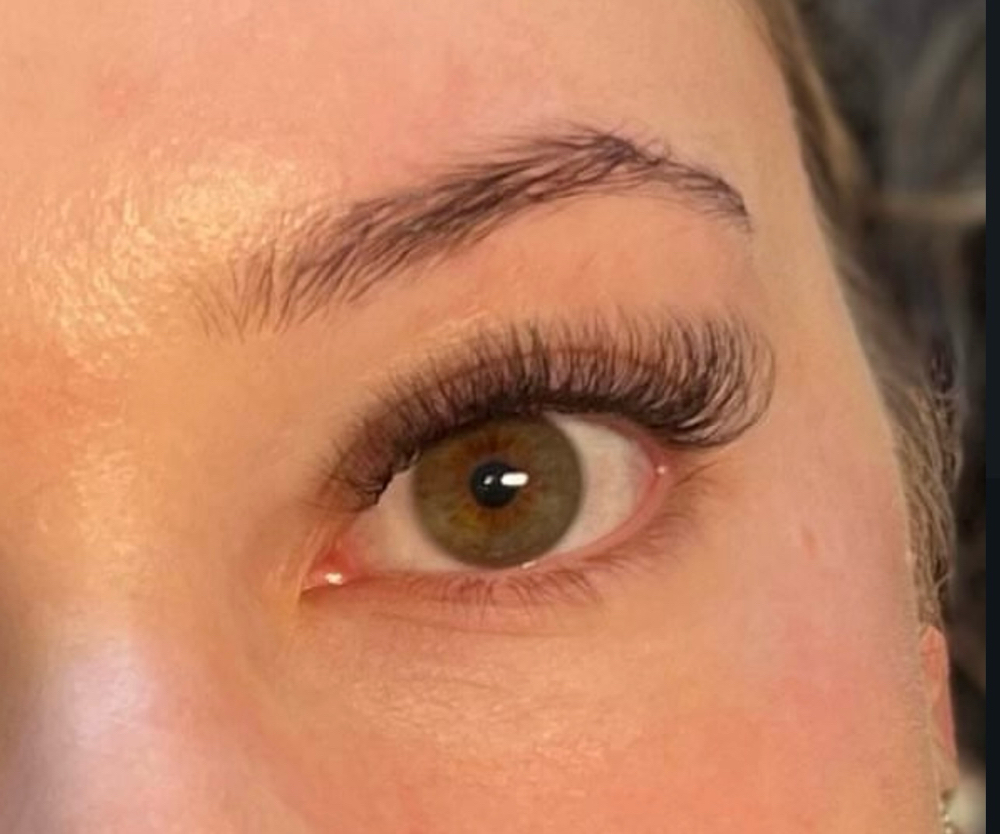 Light Volume Fill (Exec. Price $55)