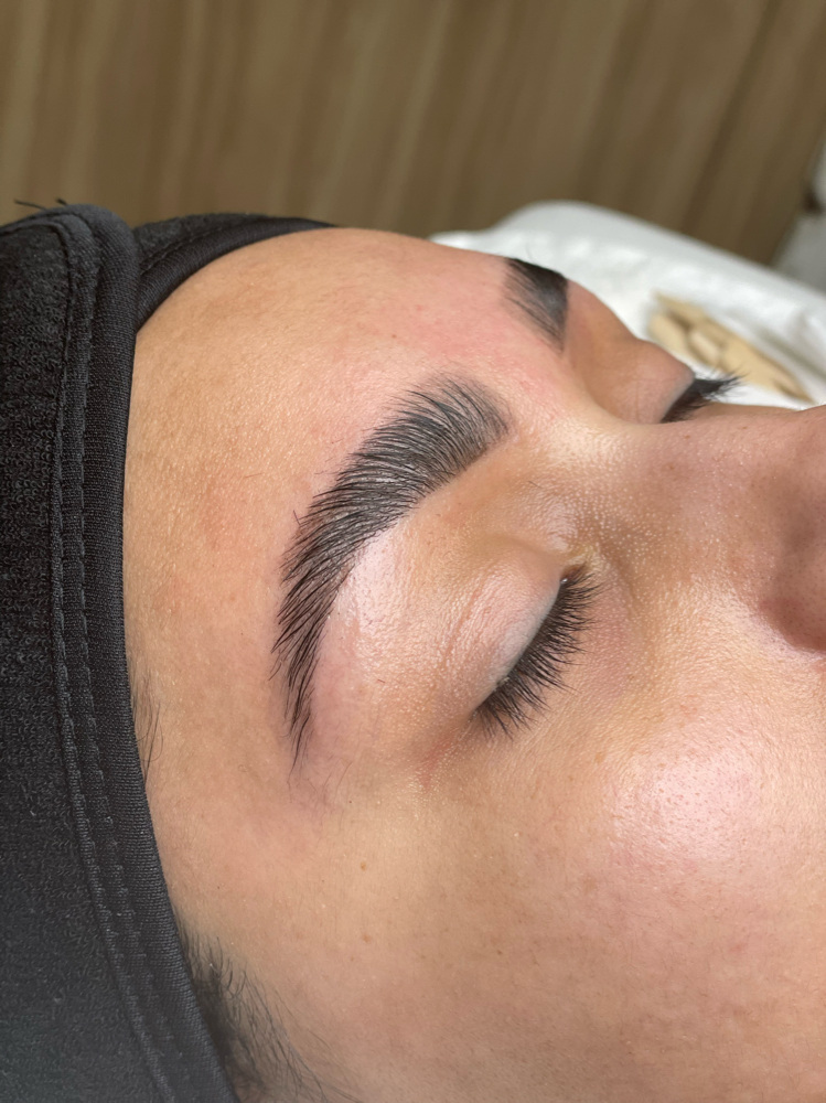 Eyebrow Lami+Wax+Tint