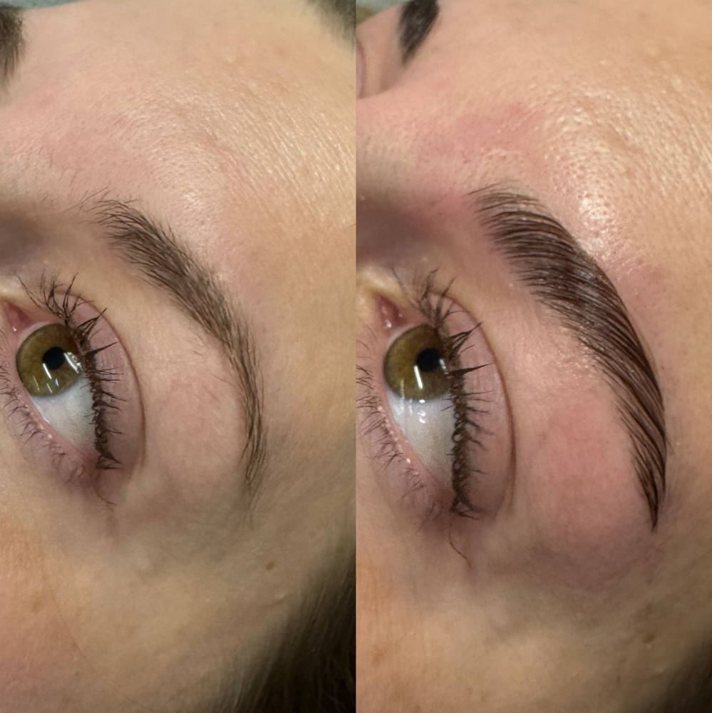August Lash+Brow Special
